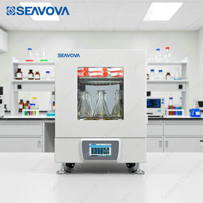 20 Liters Floor Incubator Shaker Orbit Lab Shaker Incubator ST-203R