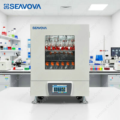 Non-refrigerated Orbital Linear Laboratory Incubator Shaker ST-203X2